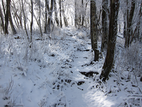 20191129hike (137)